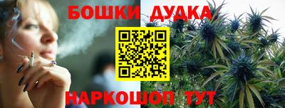 индика Коммунар