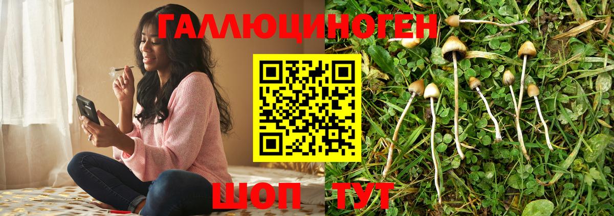 Галлюциногенные грибы Cubensis Алапаевск