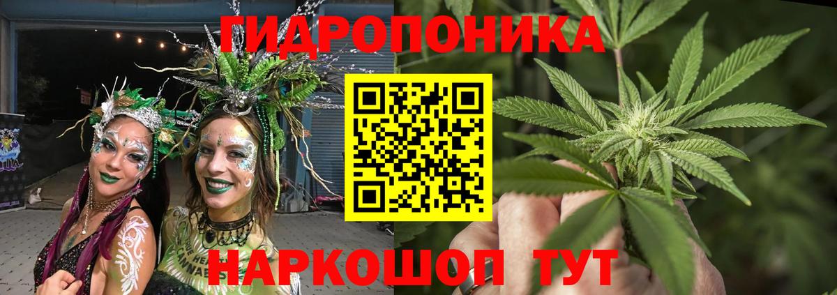 Марихуана THC 21%  Канабис VHQ  Алапаевск  Бошки марихуана семена  Вход с VPN 